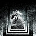 Citizen Gorgeous (Indie Exclusive) |