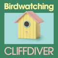 Birdwatching (BABY BLUE BIRD VINYL) Vinyl Record