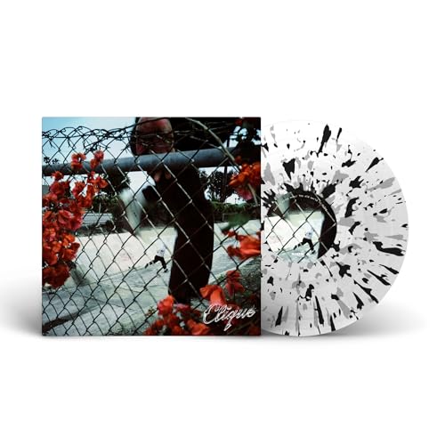 In Lives That Won'T Last Vinyl Record