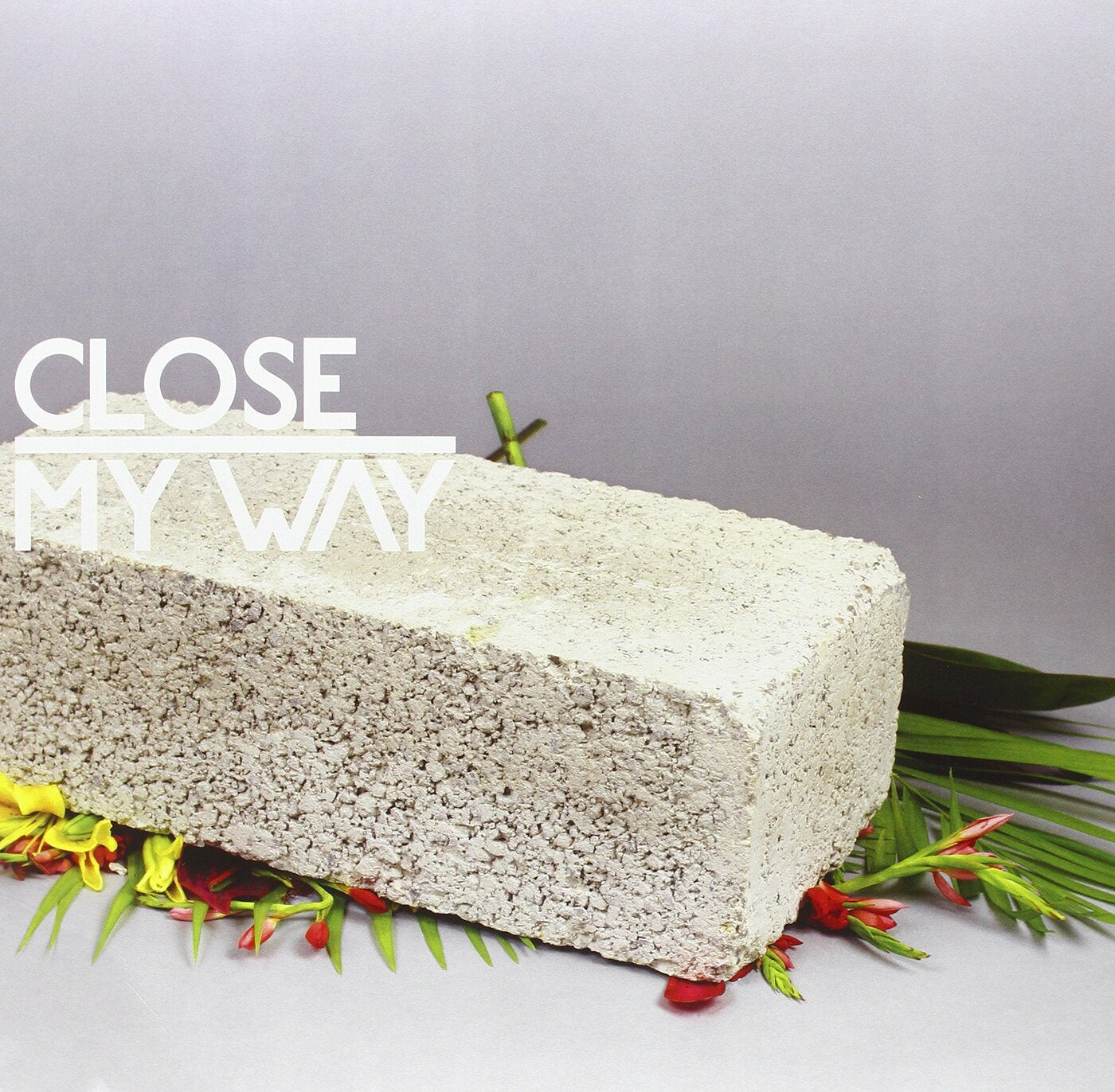 My Way Vinyl Record