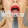 Wallflower - 12" Vinyl Record