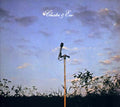 Cluster & Eno Music CD