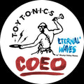 Eternal Waves Vinyl Record
