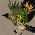 @0 Music CD