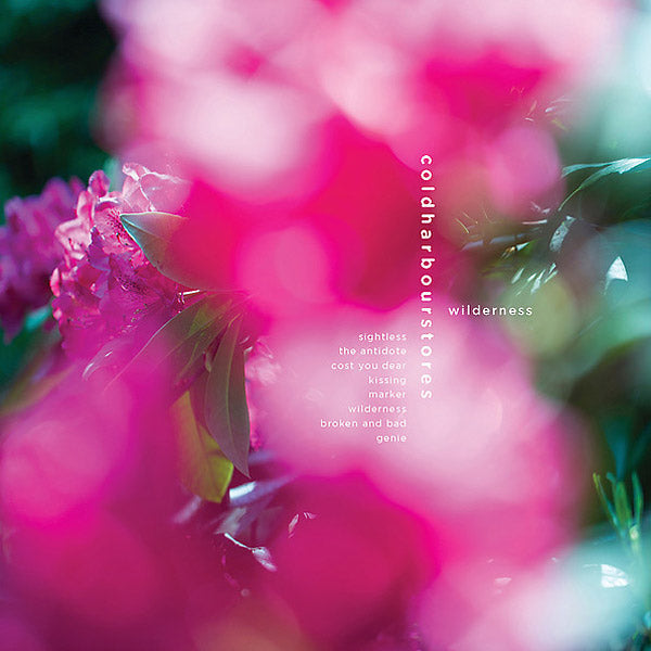 Wilderness Music CD