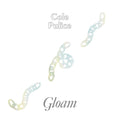 Gloam Vinyl Record