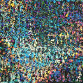 COMA - In Technicolor Remixe Vinyl Record