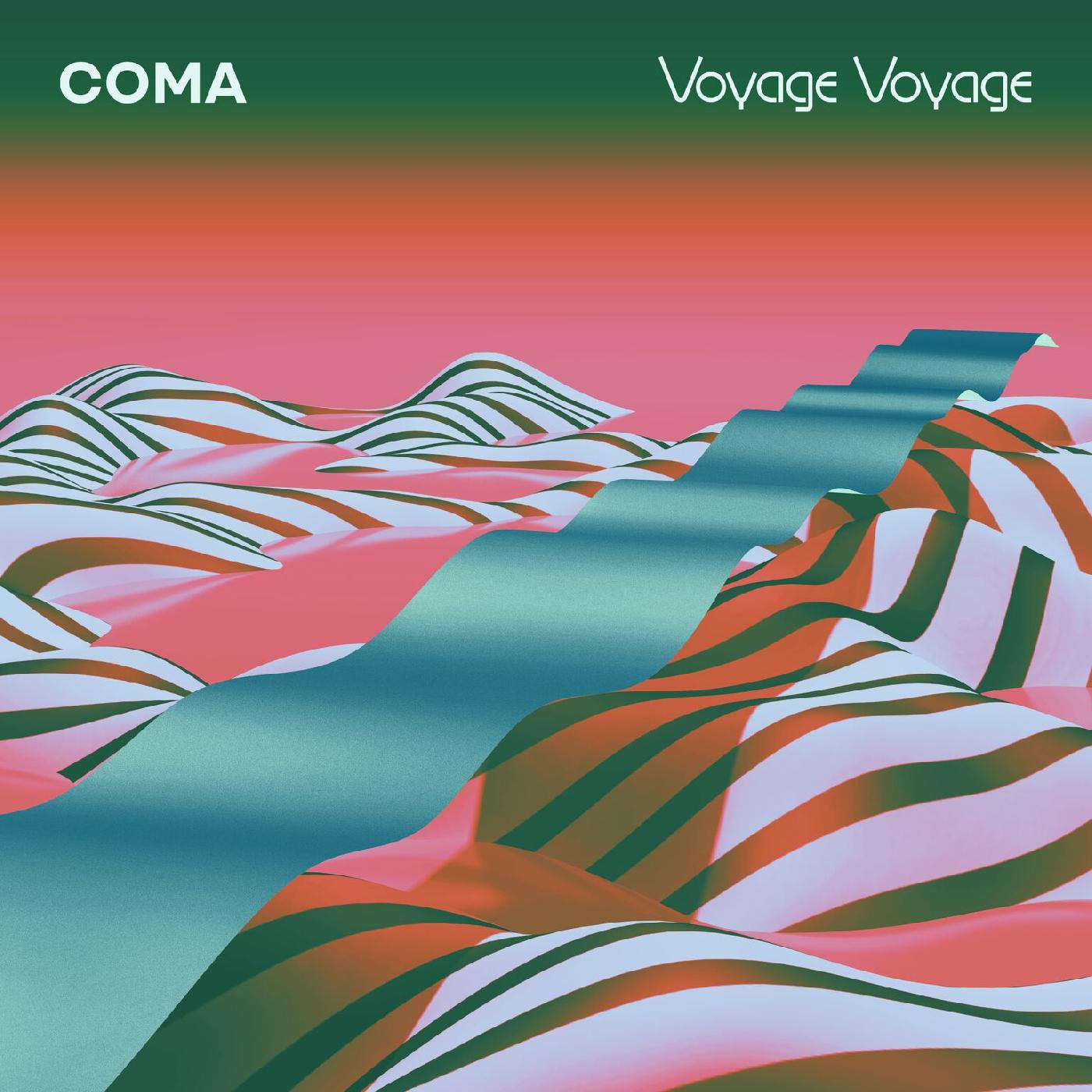 Voyage Voyage Music CD