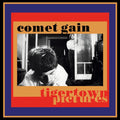 Tigertown Pictures Vinyl Record