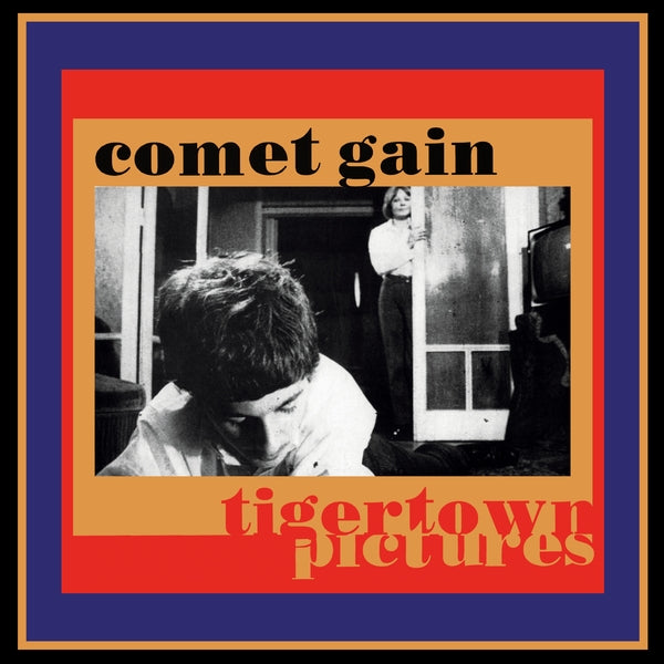 Tigertown Pictures Vinyl Record