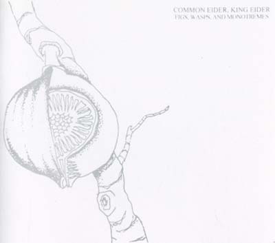 Figs, Wasps, And Monotremes Music CD