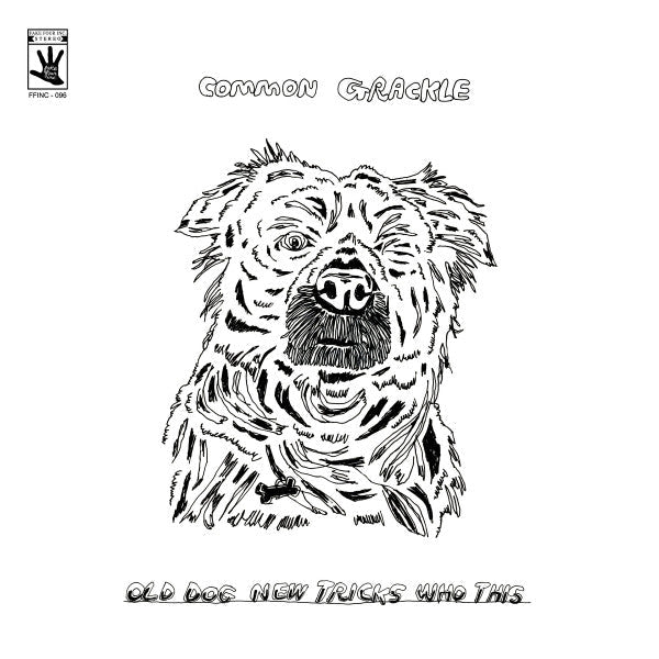 Old Dog New Tricks Who This | Mint (M) Mint (M)