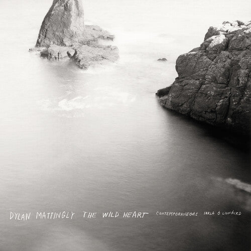 Contemporaneous & David Bloom - Dylan Mattingly: The Wild Heart Vinyl Record