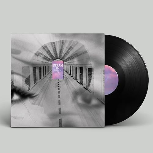 Dream In Dream Vinyl Record