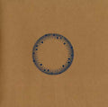 COSMIN TRG - Panoramic Vinyl Record