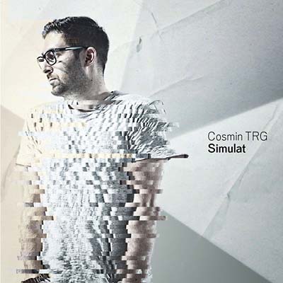 Simulat Vinyl Record