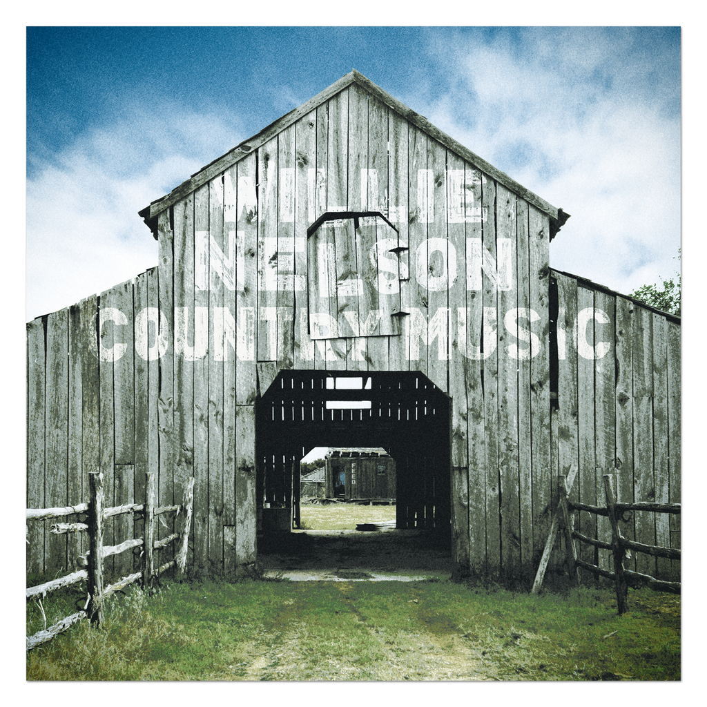 Country Music (2 LP) Vinyl Record