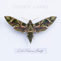 Such Ferocious Beauty Music CD