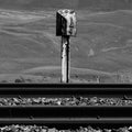 Sidings (Indie Exclusive "Freight Bauxite" Vinyl) (Indie Exclusive) Vinyl Record