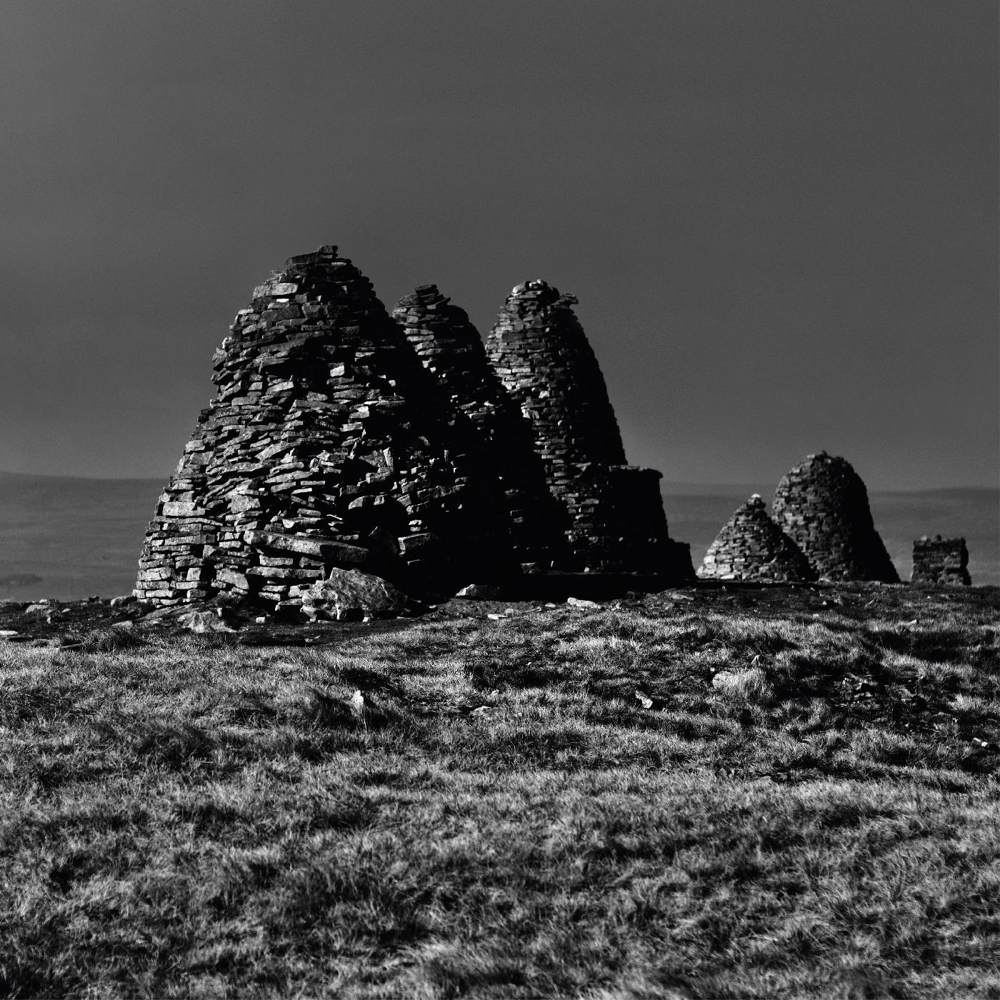 Standers (Indie Exclusive "Dark Fell Green" Vinyl) |