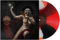 Punishment Vinyl Record