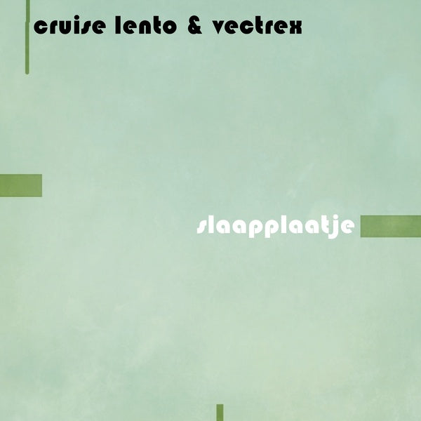 Slaapplaatje Vinyl Record