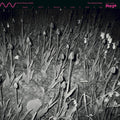 The Oystercatcher Vinyl Record