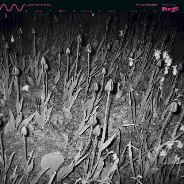 The Oystercatcher Vinyl Record