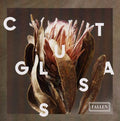 Fallen Music CD