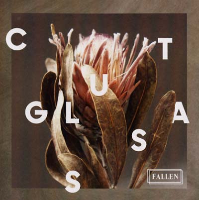 Fallen Music CD