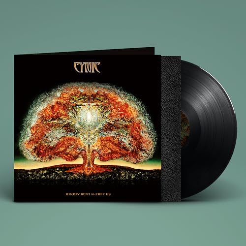 Kindly Bent To Free Us Vinyl Record