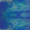 Bluefly Music CD