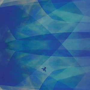 Bluefly Music CD