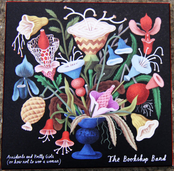 Bookshop Band - Accidents & Pretty Girls & Before I Crack & That Ghost Belongs To Me & Curious & Curiouser - CD Bundle
