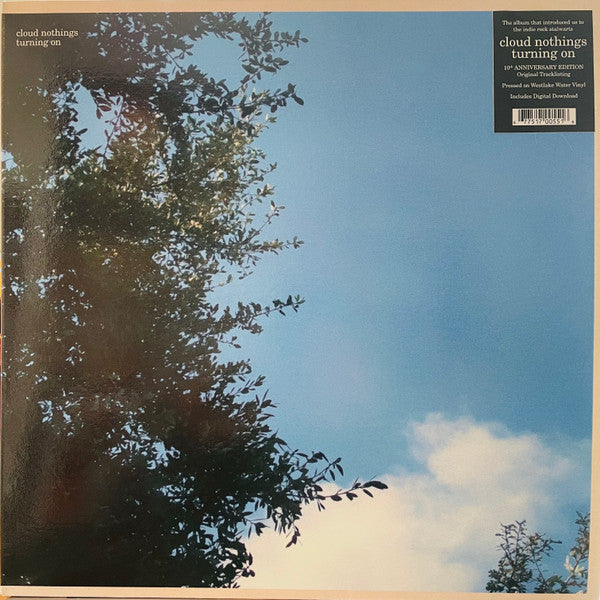 Turning On (Westlake Water LP Vinyl/Dl Card)