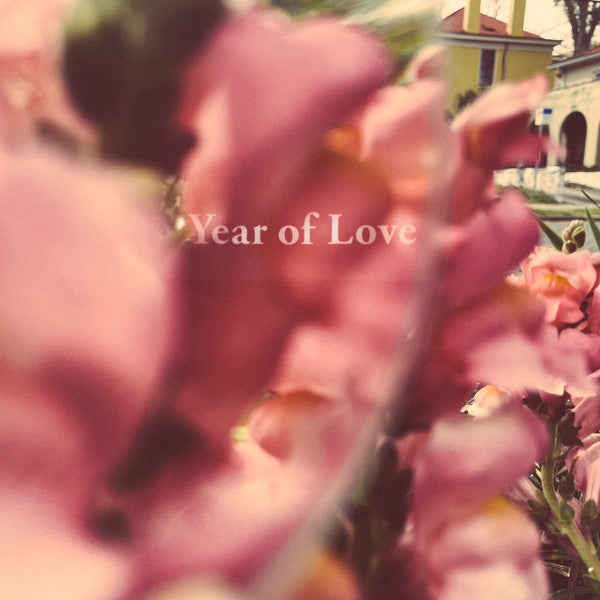 Year Of Love
