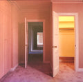 Visitor (Bone LP Vinyl) (I)