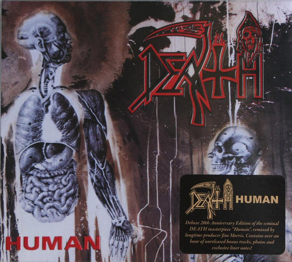 Sound Of Perseve & Human & Individual Thought Patterns