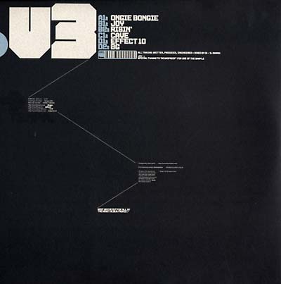 D1 V3 Vinyl Record