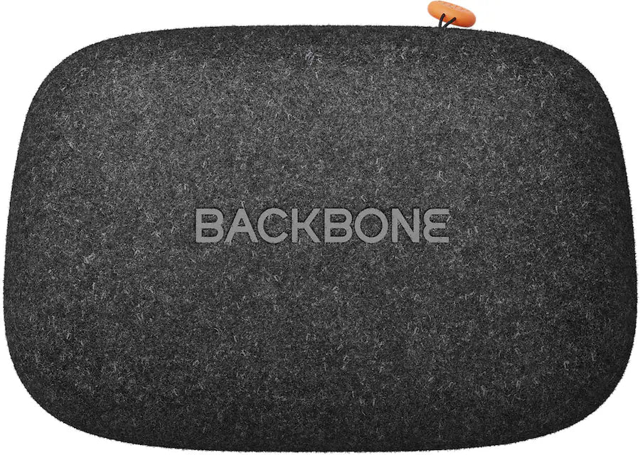 Backbone Universal Carrying Case Compatible with All Backbone Controllers - Black