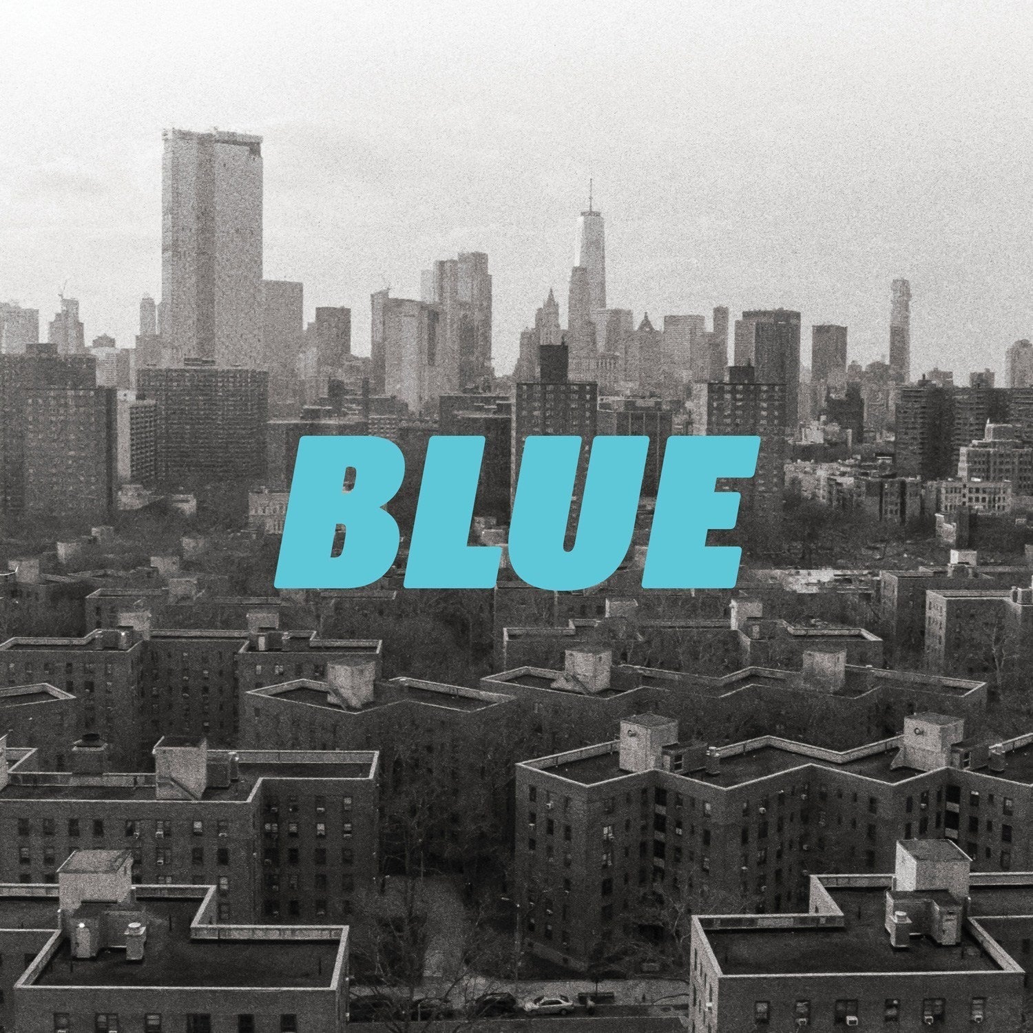 Blue Vinyl Record
