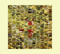 Will to Be Well Music CD