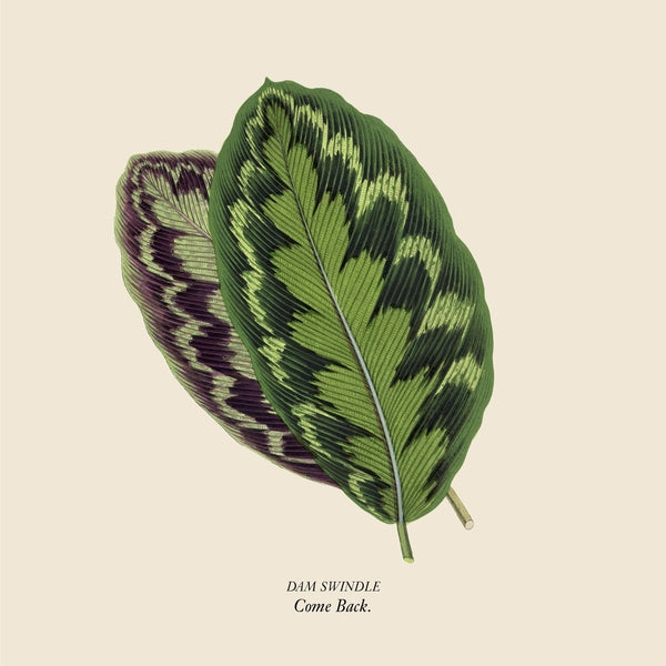 Come Back Vinyl Record