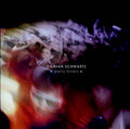 DAMIAN SCHWARTZ - Party Lovers Vinyl Record