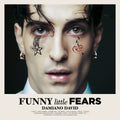 Funny Little Fears  Music CD