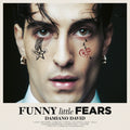 Funny Little Fears  Vinyl Record