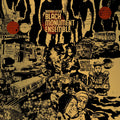 Damon - Black Monument Ensemble Locks - Where Future Unfolds Vinyl Record
