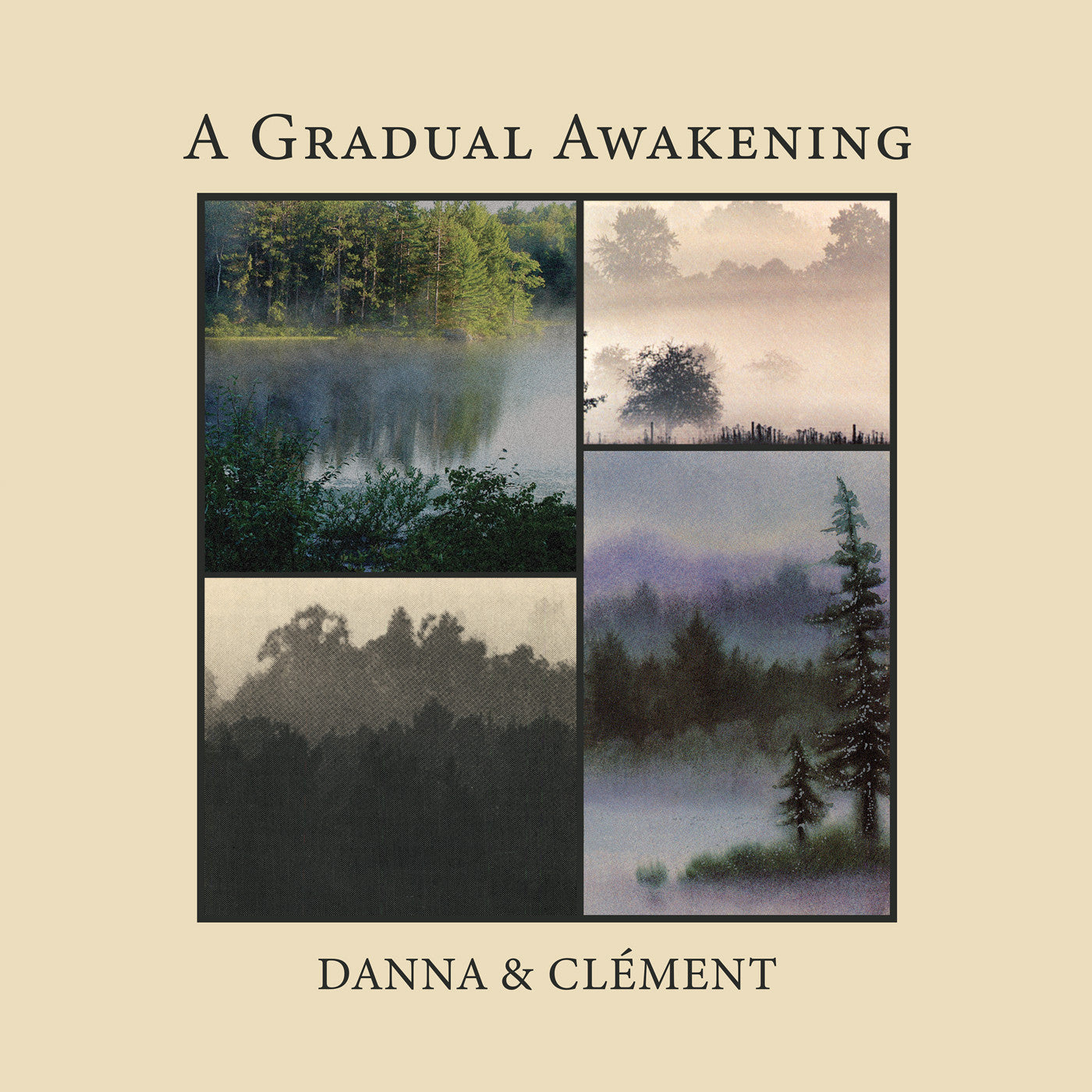 A Gradual Awakening (Vinyl) Vinyl Record