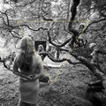 Tender Revolutions [Lp] |