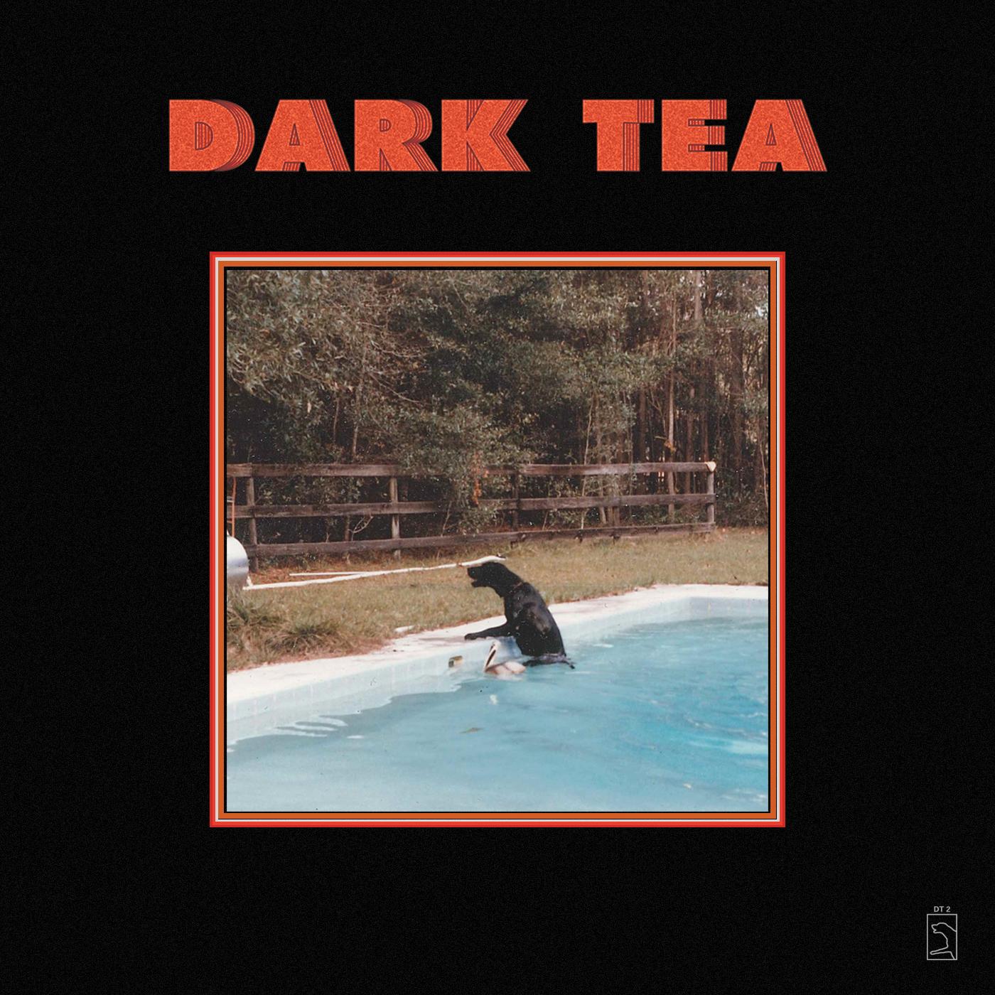 Dark Tea Vinyl Record